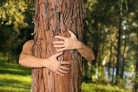 A treehugger conservationist with arms around a conifer 