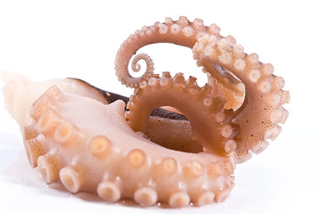 delicatessen octopus seafood
