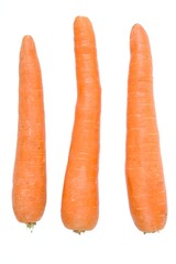 carrot