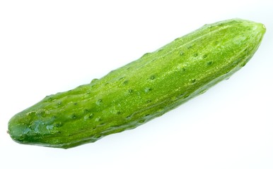 cucumber