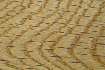 Close-up photograpg of oak texture  