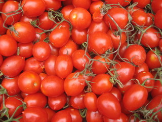 tomates