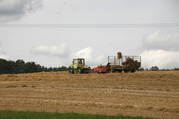 Obraz premium żniwa