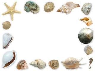 Seashell framework