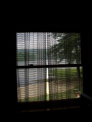 Lake Side Camp And Grill Viewed Through Cabin Curtains