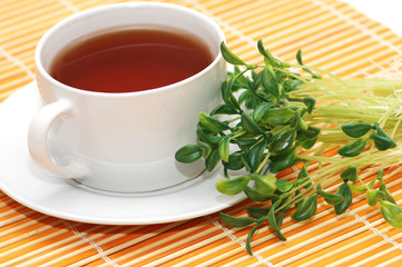 Cup of black tea and herbs at the background