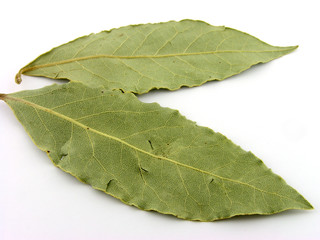 Spices. Laurels. A close up. Isolated on a white background.