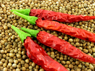 Spices. Pepper. A close up. On a background from a coriander.