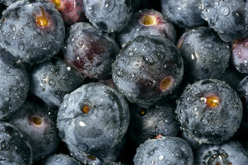 Blueberries