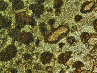 Beautiful sea coast. The western Crimea.