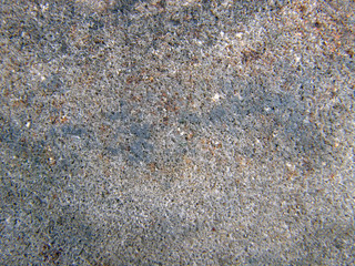 Structure of a material.