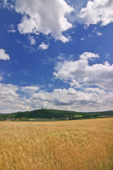 Fototapeta na wymiar amazing summer landscape - czech republic