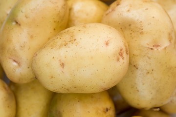 Fresh potatoes