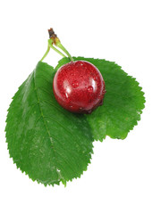 Fototapeta na wymiar Berry of cherry and two green leaves