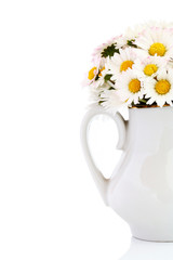 Bouquet of fresh wild daisies in vase isolated on white.