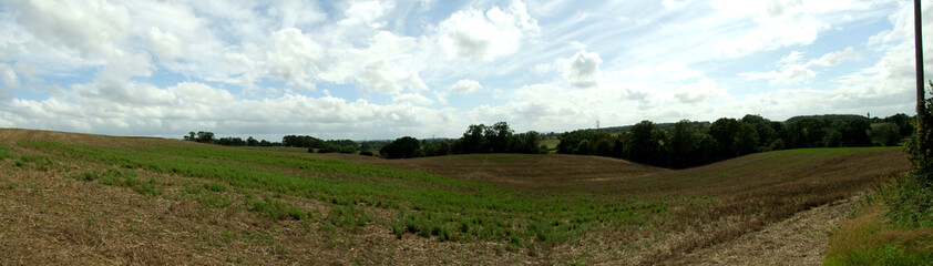 Fototapeta na wymiar A panorama shot of worcestershire fields, UK