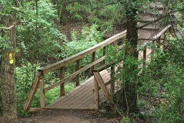Bridge over Creek