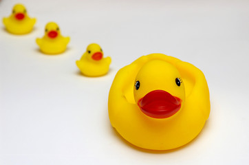 An image of duck with duckling k4h4