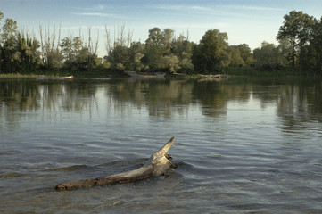 parco ticino 1