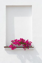 Pink flowers in basket at windowsill against white wall..
