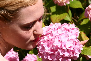 Fototapeta premium Blume riechen