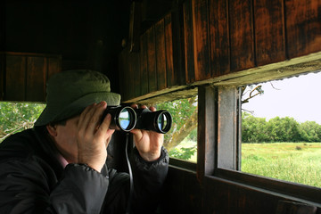 Man looking through binoculars in a birdwatching hideout - obrazy, fototapety, plakaty