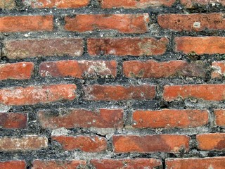 Old Brick Wall