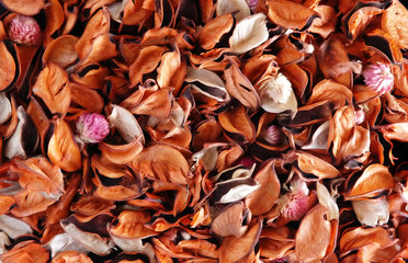 dried leaves and pink flowers for aroma therapy