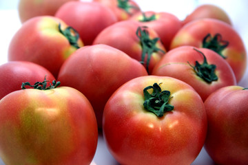 Tomato