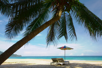 Fototapeta na wymiar Coconut Beach