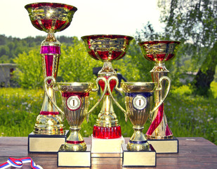 Sporting awards standing on the table