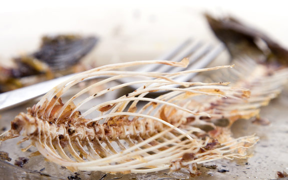 fishbones on plate