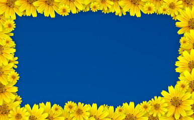 Obraz premium Flower frame - coreopsis lanceolata used for floral frame