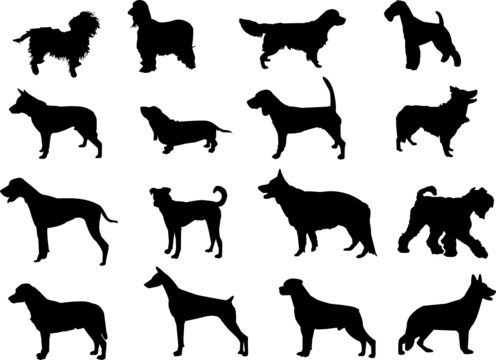 dogs silhouettes