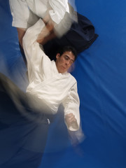 Aikido Moves