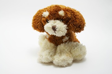 A toy - a soft, children's dog 1
