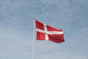 Danish Flag I