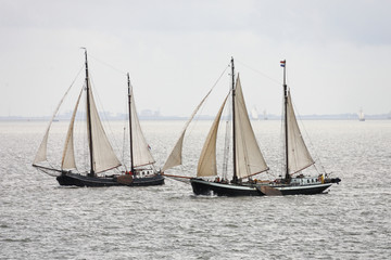 Fototapeta premium Sailingboats on the waddenzee