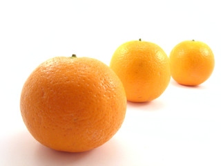 oranges