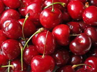 Fresh cherries