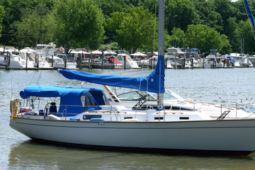 Fototapeta premium Sailboat 
