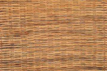bamboo background