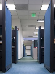 Long row of empty office cubicles