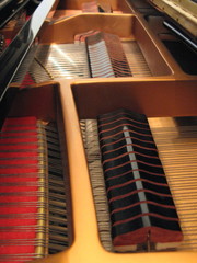 Inside a Piano 2