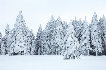 Obraz premium Winterlandschaft 1