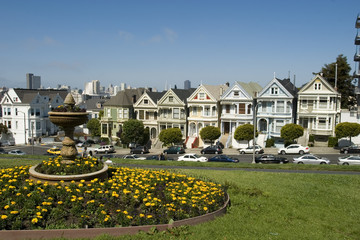 Seven Sisters with fountain and Yellow Flowers