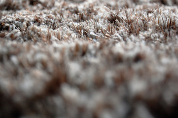 carpet texture #3
