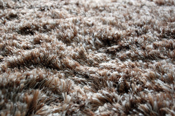 carpet texture #2
