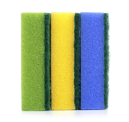Sponges