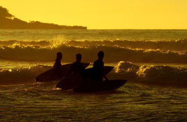 surf and friends